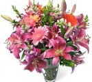 Oriental Pink Lilies