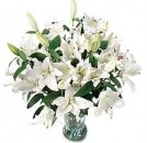 White Lilies Flowers