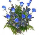 12 Blue Roses