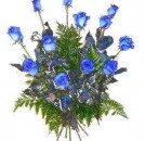 12 Blue Roses