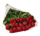 20 Red Roses