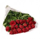 20 Red Roses