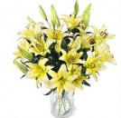 Yellow Lilies