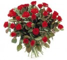 50 Red Roses