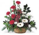 Christmas Flower Gift