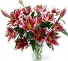 Flowers Stargazer Lilies