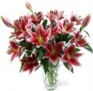 Flowers Stargazer Lilies